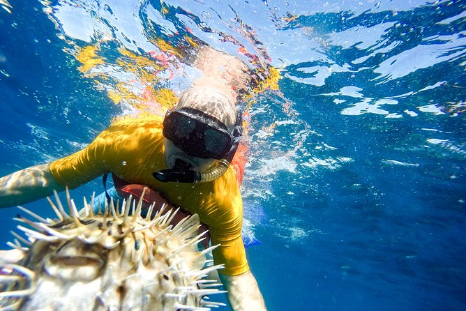 Snorkel & Explore Pelican Rock by Glass Boat + Photos - El Arco to lunch: when the day turns from water to food