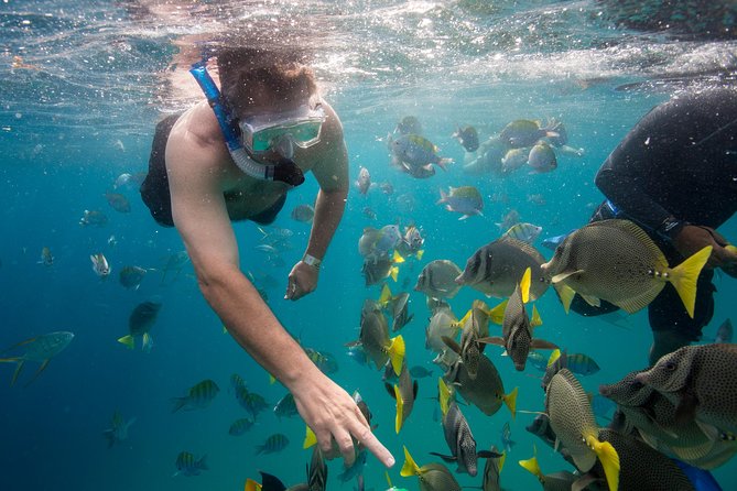 Snorkel & Explore Pelican Rock by Glass Boat + Photos - Cabo San Lucas stop: tequila tasting and shopping time