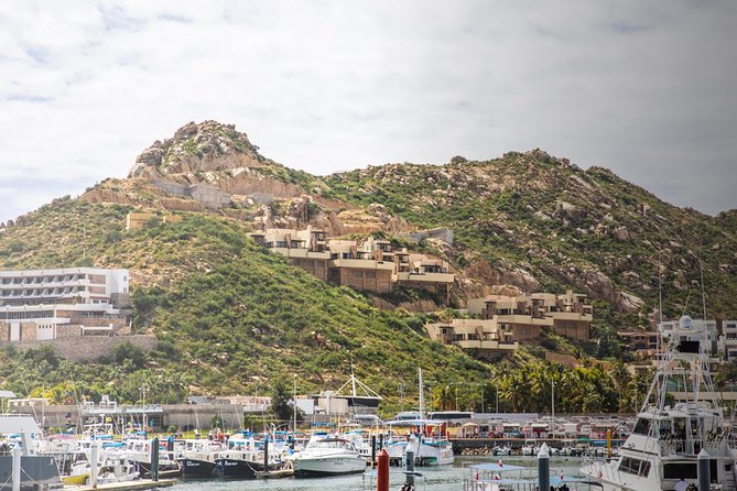 Snorkel & Explore Pelican Rock by Glass Boat + Photos - Price and value for $125, plus the $1 government fee