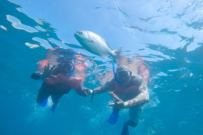 Snorkel in Luxury Sailing Boat + Food and Premium drink! - Stop 2: Playa de los Amantes for beach time and included water activities
