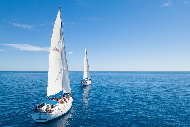 Snorkel in Luxury Sailing Boat + Food and Premium drink! - Food and premium drinks: what you get for $200