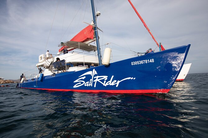 Snorkel, Lunch & Sail in Cabo San Lucas - Finding Finisterra Marina: Dock Details That Matter