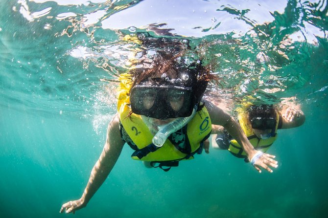 Snorkel, Lunch & Sail in Cabo San Lucas - Taco Buffet and Unlimited Drinks on Board