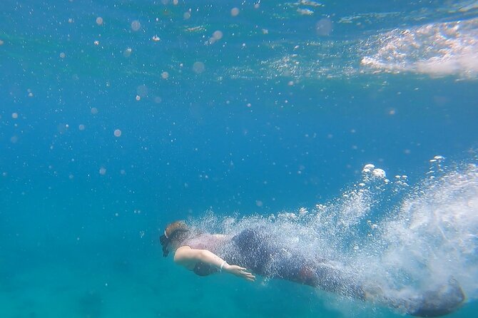 Snorkel Privately in Cabo San Lucas - The 3-Hour Plan: Coastline Stops, Then Reef Time