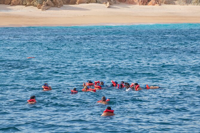 Snorkel & Sunset Sail in Cabo San Lucas - Open bar drinks, boat comfort, and what that means for your mood