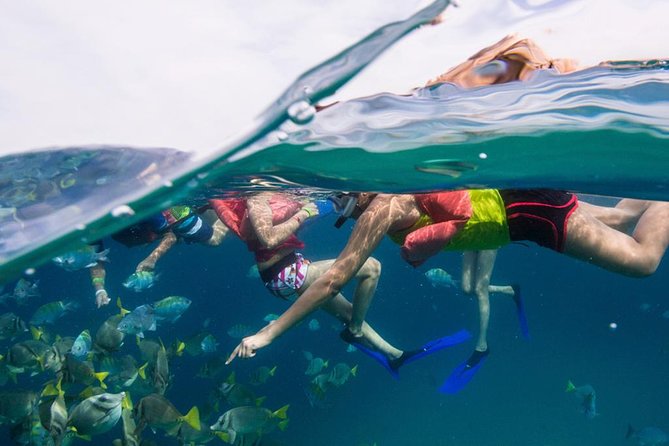 Snorkel Tour and Glass-Bottom Boat Ride in Cabo San Lucas - Why the Arch and Pelican Rock loop is the good kind of efficient