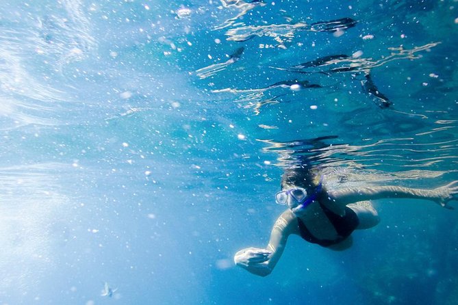 Snorkel Tour and Glass-Bottom Boat Ride in Cabo San Lucas - Glass-bottom boat time: seeing the Arch without rushing