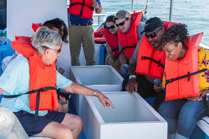 Snorkel Tour and Glass-Bottom Boat Ride in Cabo San Lucas - Who this Cabo tour suits best