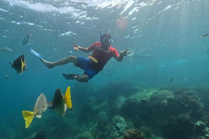 Snorkel Tour in private Trimarán in Los Cabos - Cruise route: El Arco, Playa de los Amantes, Pelican Rock, and back again