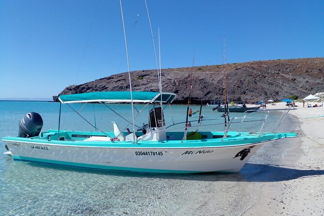 Snorkel with whale sharks includes equipment & transportation - Cabo San Lucas Beach stop: the Arch and a quick burst of postcard views