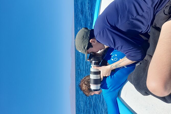 Snorkel with whale sharks includes equipment & transportation - Group size of 12: what it feels like in practice