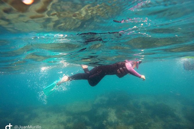 Snorkeling Adventure Cabo Pulmo - Getting there from Los Cabos, and what that trip feels like