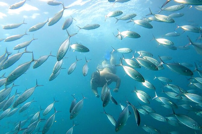 Snorkeling and whale watching Tour in Cabo - Cruising the bay resorts: the scenic wrap-around you do not get on every tour