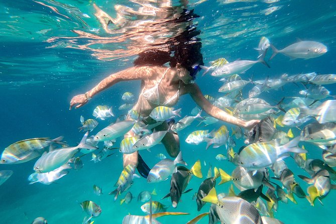 Snorkeling at Pelicans Rock - Riding Out From San Jose del Cabo, With Glass-Bottom Views First