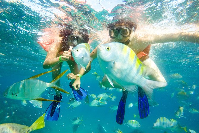 Snorkeling at Pelicans Rock - Transfers, Timing, and the Small-Group Advantage (Max 13)