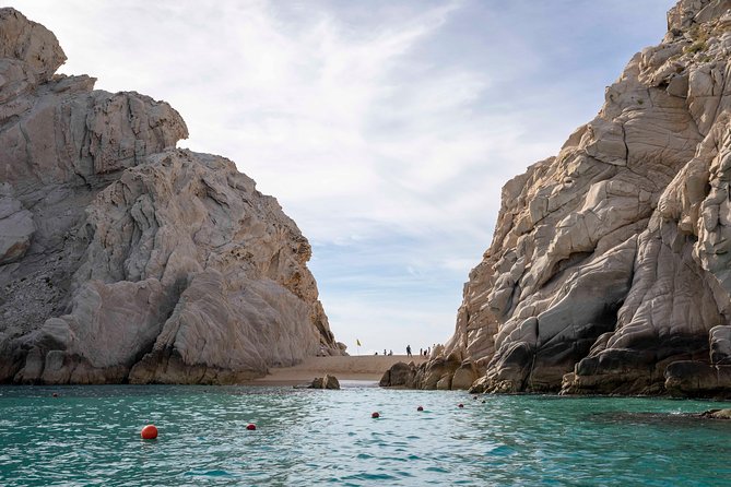 Snorkeling at Pelicans Rock - Who This Snorkel Tour Fits Best