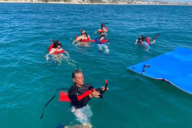 Snorkeling en San José del Cabo , Lunch , Snack , Drinks - Where the Tour Starts: La Playa Meeting Point by La Marina Inn