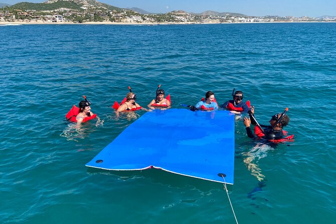 Snorkeling en San José del Cabo , Lunch , Snack , Drinks - Stop One: Reef Time Where the Surface Isn’t the Whole Story