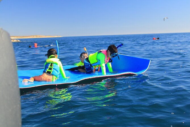 Snorkeling en San José del Cabo , Lunch , Snack , Drinks - Food on Board: Burritos, Fruit, Snacks, and Bottled Water