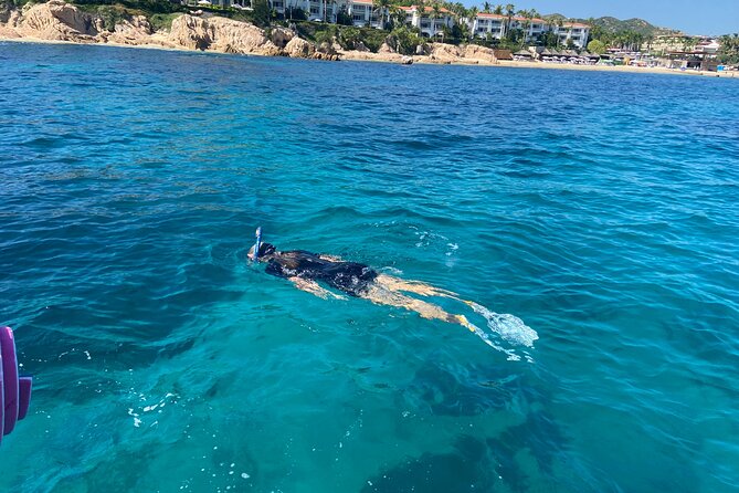 Snorkeling en San José del Cabo , Lunch , Snack , Drinks - The Boat Ride at 9:00 or 12:30: Safety, Setup, and Sea Views