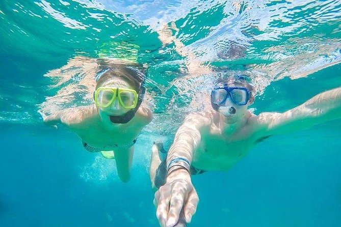 Snorkeling in Cabo San Lucas on 35' Sea Amore Trimaran - Key highlights you should know
