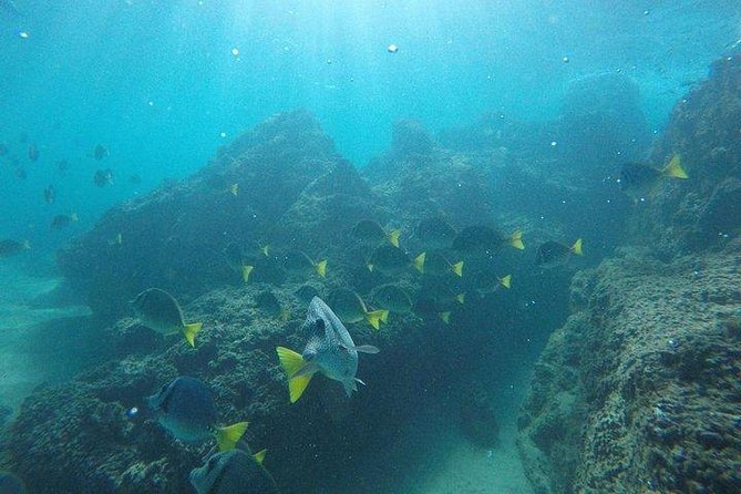 Snorkeling in Cabo San Lucas on 35' Sea Amore Trimaran - Meeting point at Cabo Sails, and how to be ready to move fast