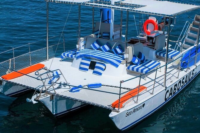 Snorkeling in Cabo San Lucas on 35' Sea Amore Trimaran - Who should book this Cabo Sails snorkel-and-arch cruise?