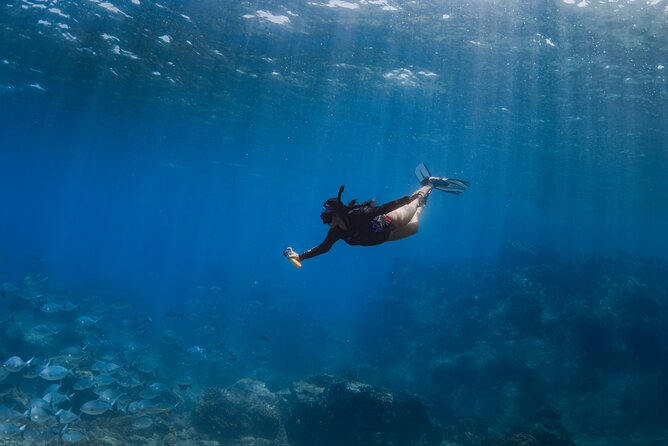 Snorkeling in San Jose del Cabo - Controlled Water Entry and a Crew That Keeps It Clear