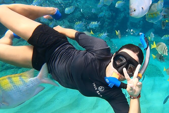 Snorkeling On Chilean Beach Transportation And Drinks Included - Key Highlights You Should Know