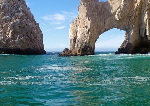 Snorkeling Open Ocean Wildlife Safari in Los Cabos with Photos Included - Key highlights before you book