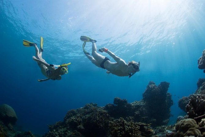 Snorkeling Tour at Land's End in Cabo San Lucas - Boat ride out to Pelican Rock: short, scenic, and guided enough