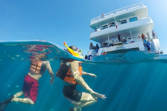 Snorkeling tour in Cabo San Lucas - What’s Included: Lunch, Drinks, and Snorkeling Gear