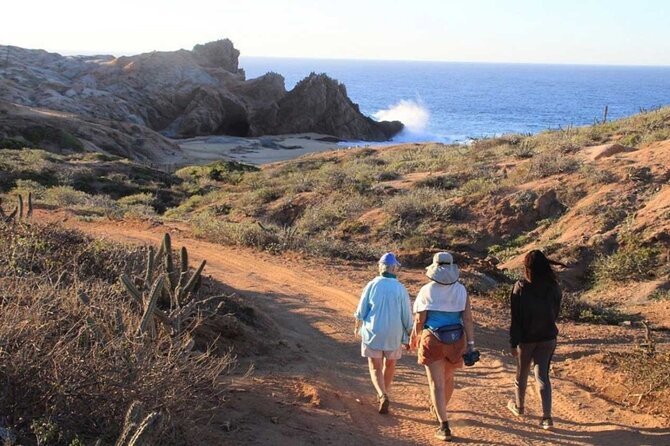 Sunrise Guided Desert Hike in Los Cabos - 7:00 AM pickup and the ride into Baja desert country