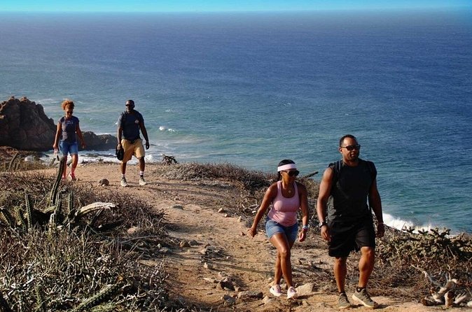 Sunrise Guided Desert Hike in Los Cabos - Group size, comfort, and what that means for your morning