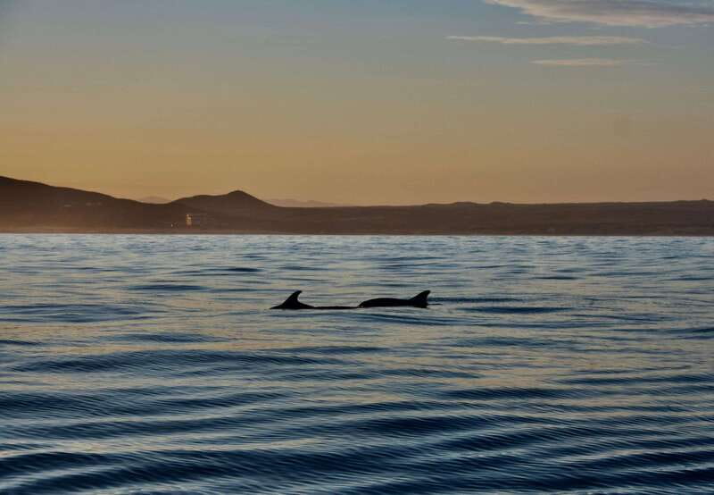 Sunset Cruise in San Jose del Cabo - Sunset Cruise Basics in San José del Cabo: What 2 Hours Actually Gives You