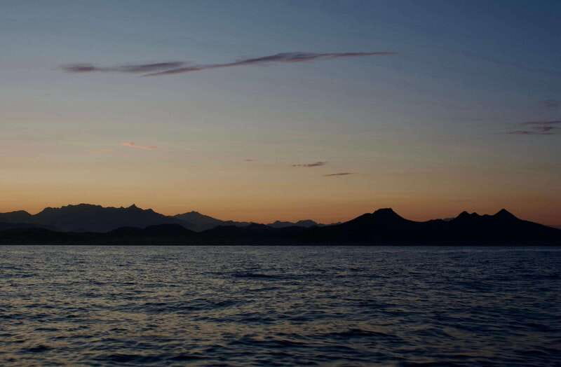 Sunset Cruise in San Jose del Cabo - Wildlife on the Route: Dolphins, Whales, Rays, and More
