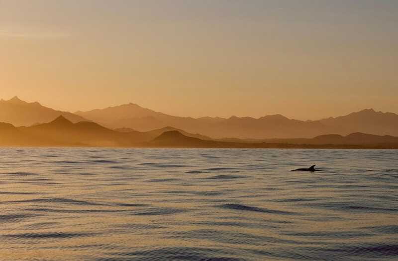 Sunset Cruise in San Jose del Cabo - Price and Value: Is $140 for a 2-Hour Cruise Reasonable?