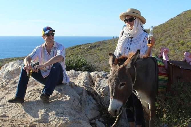 Sunset Pacific Donkey Hiking Tour - Key highlights to know before you go
