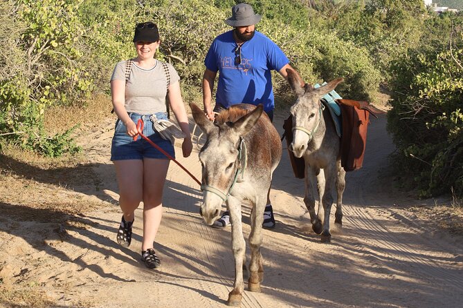 Sunset Pacific Donkey Hiking Tour - The best views happen when you pause
