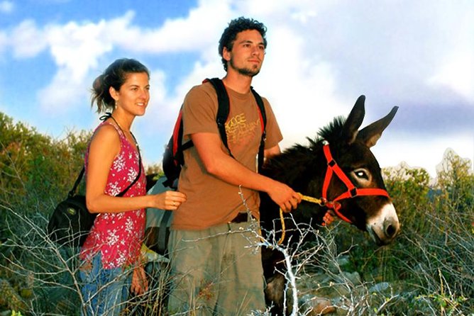 Sunset Pacific Donkey Hiking Tour - Your guides can make or break the pace (and many are memorable)