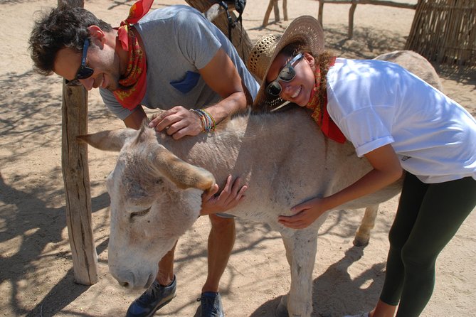 Sunset Pacific Donkey Hiking Tour - Step 1 at Rancho Carisuva: your donkey starts the relationship