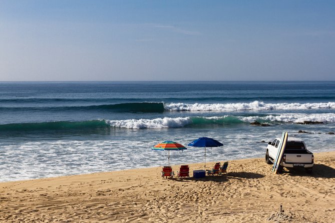 Surf Lesson Tours (half day) - Key highlights worth clocking before you go