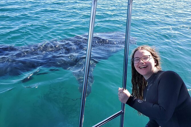 Swim with Whale Sharks #1 MUST DO IN LA PAZ - The 3-hour flow, step by step in the Sea of Cortez