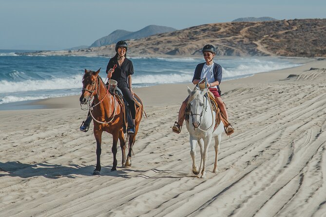 Tacos and Horseback Riding at Migriño beach - Horseback and whale season at Playa Migriño