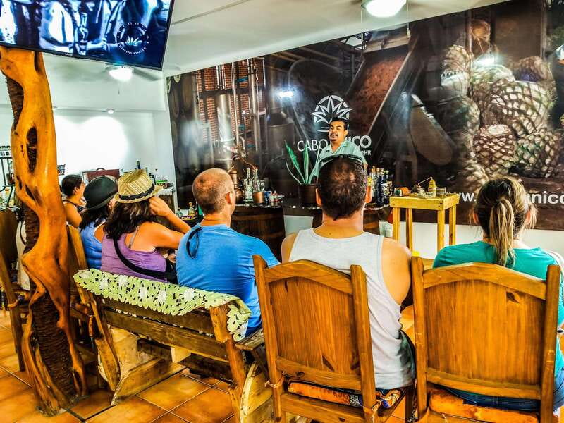 Tequila & Mezcal Tasting Experience - Key Highlights Worth Planning Around