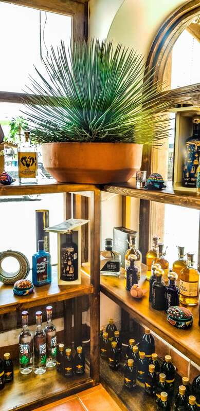 Tequila & Mezcal Tasting Experience - Learning to Taste Tequila: More Than Swallowing Shots