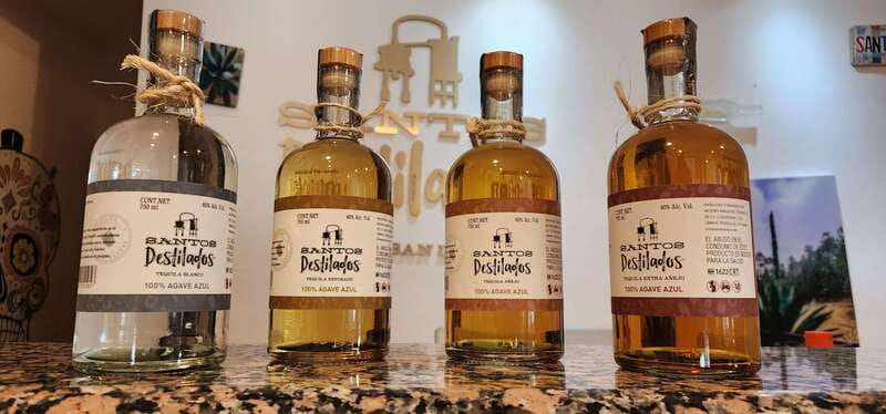 Tequila & Mezcal Tasting Experience - Why the Central Cabo Location Makes This Worth It