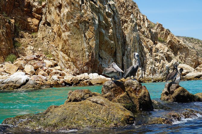 The Arch of Los Cabos Glass-bottom boat tour - Playa de los Amantes: beach time when conditions allow it
