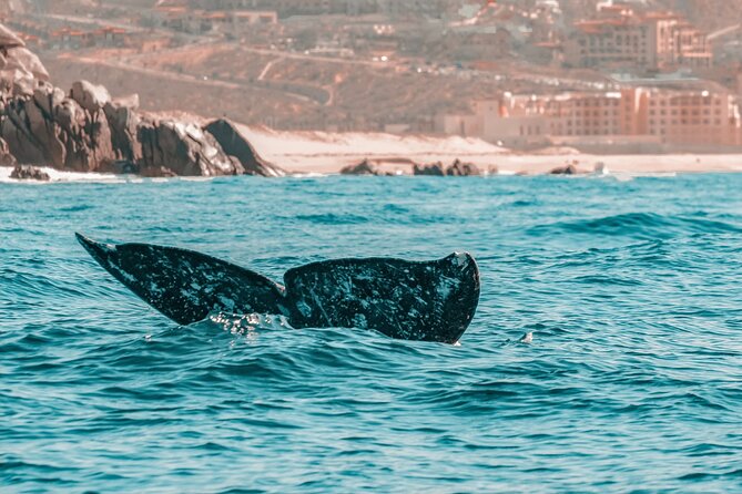 The Finest Private Yacht Experience in Cabo - Boat size and comfort: what matters with up to 8 people