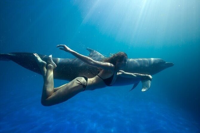 The only Natural Space Dolphin Encounter in Cabo Optional Pickup! - Key Highlights I’d Actually Plan Around